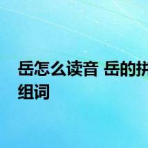 岳怎么读音 岳的拼音及组词