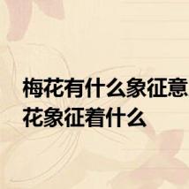 梅花有什么象征意义 梅花象征着什么