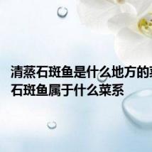 清蒸石斑鱼是什么地方的菜 清蒸石斑鱼属于什么菜系