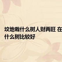 坟地栽什么树人财两旺 在墓地种什么树比较好