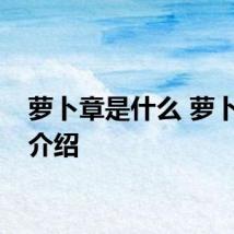 萝卜章是什么 萝卜章的介绍
