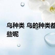 鸟种类 鸟的种类都有哪些呢