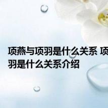 项燕与项羽是什么关系 项燕与项羽是什么关系介绍