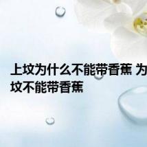 上坟为什么不能带香蕉 为什么上坟不能带香蕉
