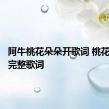阿牛桃花朵朵开歌词 桃花朵朵开完整歌词