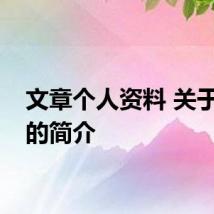 文章个人资料 关于文章的简介