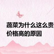 蔬菜为什么这么贵 蔬菜价格高的原因