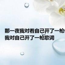那一夜我对着自己开了一枪什么歌 我对自己开了一枪歌词