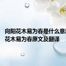 向阳花木易为春是什么意思 向阳花木易为春原文及翻译