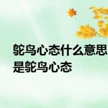 鸵鸟心态什么意思 什么是鸵鸟心态