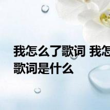 我怎么了歌词 我怎么了歌词是什么