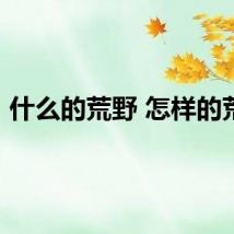 什么的荒野 怎样的荒野