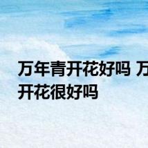 万年青开花好吗 万年青开花很好吗