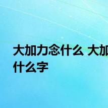 大加力念什么 大加力是什么字