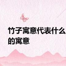 竹子寓意代表什么 竹子的寓意