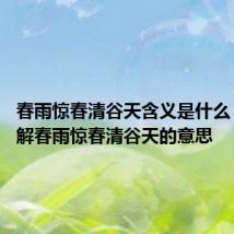 春雨惊春清谷天含义是什么 怎么理解春雨惊春清谷天的意思
