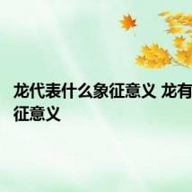 龙代表什么象征意义 龙有什么象征意义