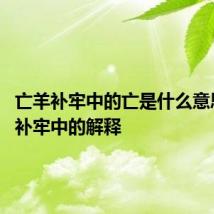亡羊补牢中的亡是什么意思 亡羊补牢中的解释