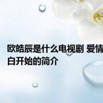 欧皓辰是什么电视剧 爱情是从告白开始的简介