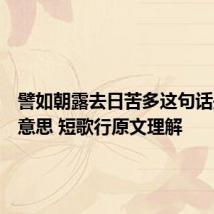 譬如朝露去日苦多这句话是什么意思 短歌行原文理解