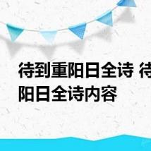 待到重阳日全诗 待到重阳日全诗内容