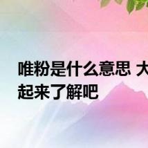 唯粉是什么意思 大家一起来了解吧