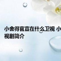 小舍得官宣在什么卫视 小舍得电视剧简介
