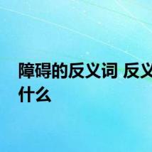 障碍的反义词 反义词是什么