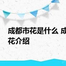 成都市花是什么 成都市花介绍