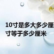 10寸是多大多少厘米 10寸等于多少厘米