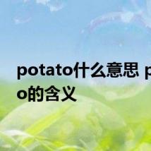 potato什么意思 potato的含义