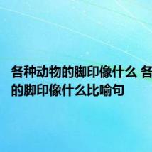 各种动物的脚印像什么 各种动物的脚印像什么比喻句