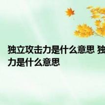 独立攻击力是什么意思 独立攻击力是什么意思