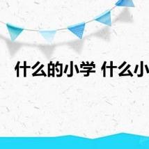 什么的小学 什么小学