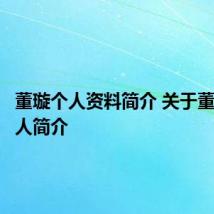 董璇个人资料简介 关于董璇的个人简介
