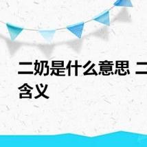 二奶是什么意思 二奶的含义