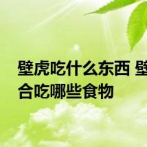 壁虎吃什么东西 壁虎适合吃哪些食物