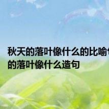 秋天的落叶像什么的比喻句 秋天的落叶像什么造句