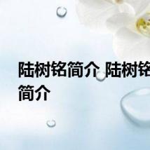 陆树铭简介 陆树铭个人简介
