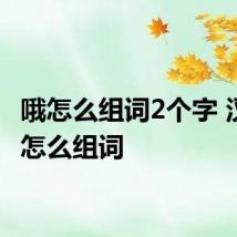 哦怎么组词2个字 汉字哦怎么组词