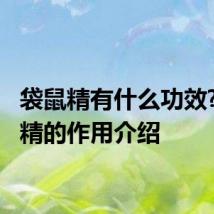 袋鼠精有什么功效? 袋鼠精的作用介绍