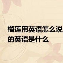 榴莲用英语怎么说 榴莲的英语是什么