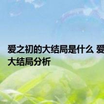 爱之初的大结局是什么 爱之初的大结局分析
