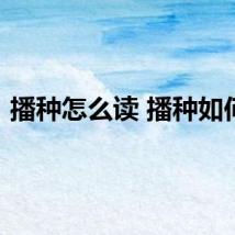 播种怎么读 播种如何读