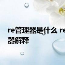 re管理器是什么 re管理器解释