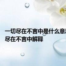一切尽在不言中是什么意思 一切尽在不言中解释
