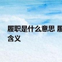 履职是什么意思 履职的含义