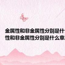金属性和非金属性分别是什么 金属性和非金属性分别是什么意思