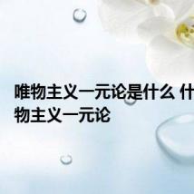 唯物主义一元论是什么 什么是唯物主义一元论