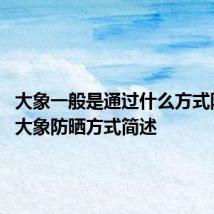 大象一般是通过什么方式防晒的 大象防晒方式简述